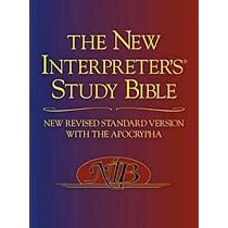 The New Interpreter's Bible One-Volume Commentary: Abingdon Press